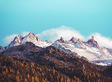 原湖南省中小企业信用担保有限公司董事长刘安被查